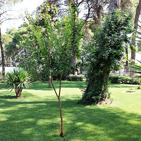 Il Melograno B&B Castellaneta Marina Bagian luar foto