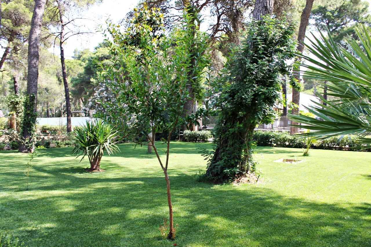 Il Melograno B&B Castellaneta Marina Bagian luar foto